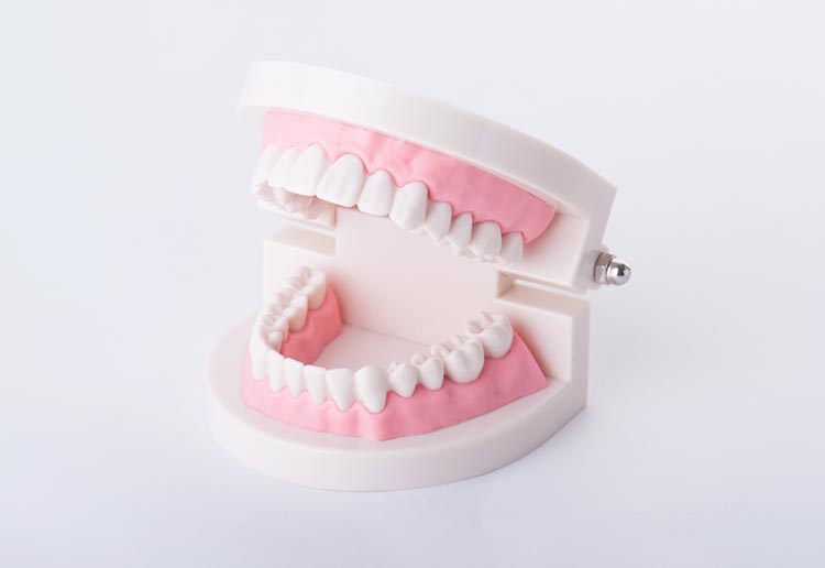 入れ歯（義歯）イメージ